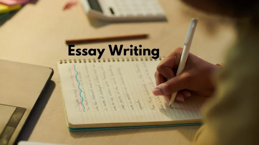 essay writing format